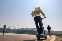 Segway Ninebot E2 PRO E Trotinete Elétrica 25km/h 35km 750W